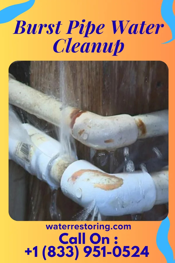 Burst Pipe Water Cleanup in Desloge, MO