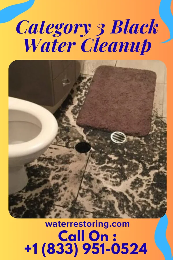 Category 3 Black Water Cleanup in Desloge, MO