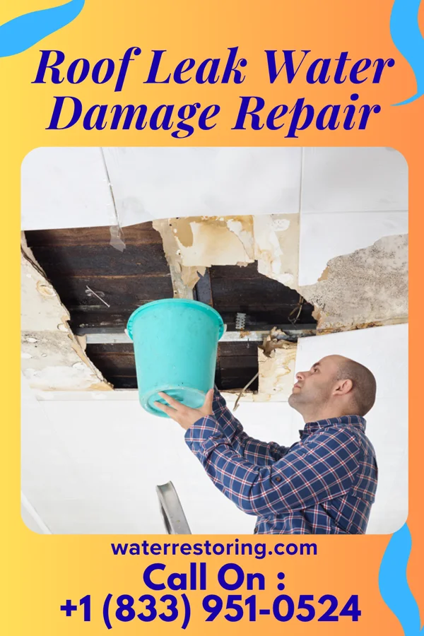 Roof Leak Water Damage Repair in Desloge, MO