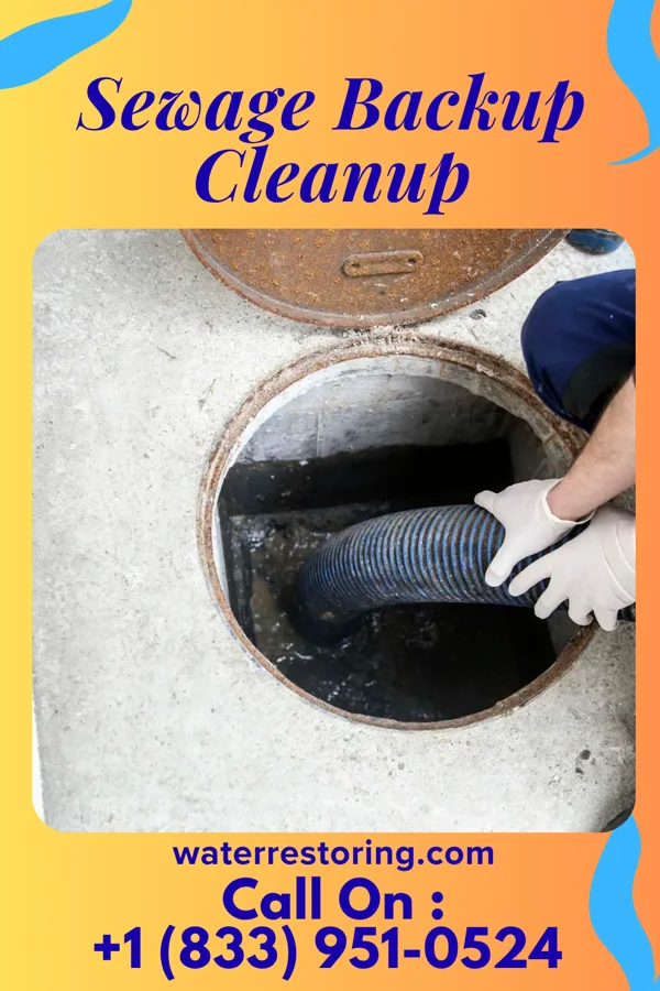 Sewage Backup Cleanup in Desloge, MO
