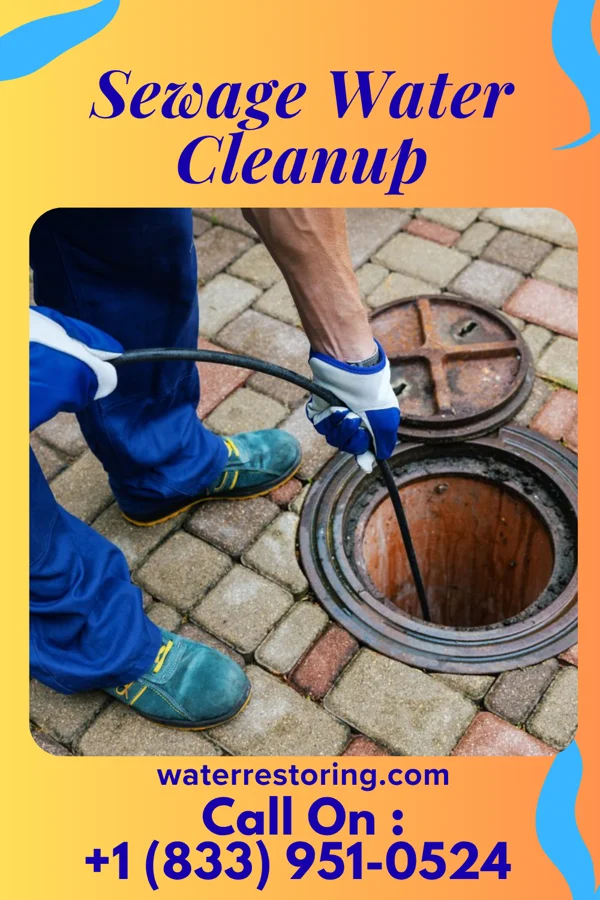 Sewage Water Cleanup in Desloge, MO