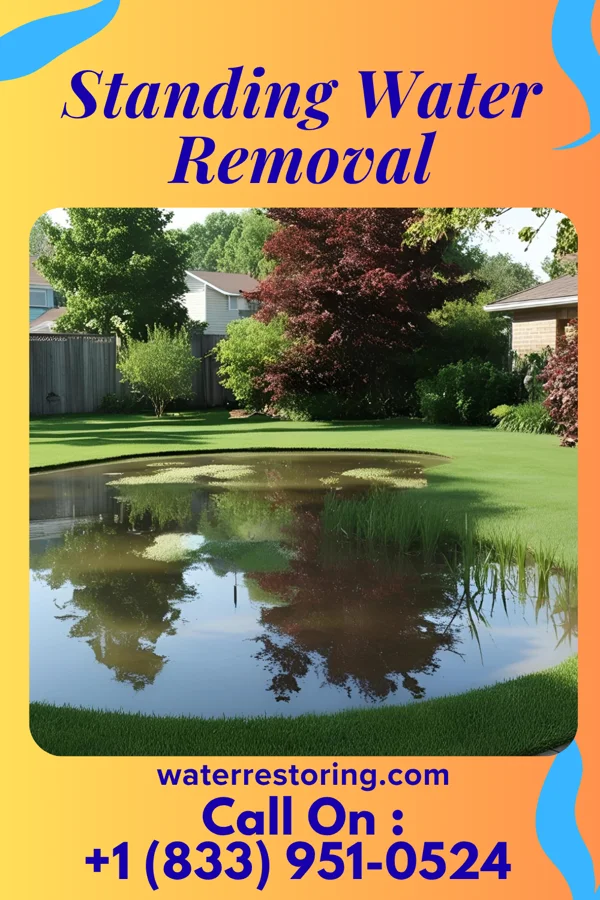 Standing Water Removal in Desloge, MO